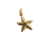 XS Wavy Seastar
