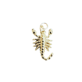 Scorpio Charm
