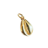 Kauri shell