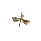 Transformation Charm