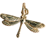 Transformation Charm