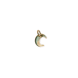 Tiny moon Charm