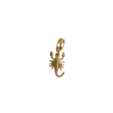 Scorpio Charm