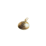 Cute as shell Charm