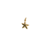 XS Wavy Seastar