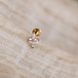 Etoile Labret