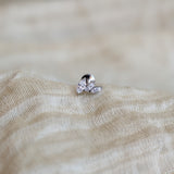 Marquise Labret Piercing