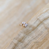 Vega Labret