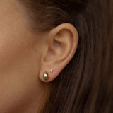 Dotty zircon Earstud