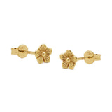 Daisy Earstud